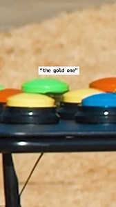 60K views · 967 reactions | Which button would you press?  | Areyoukiddingtv | Facebook