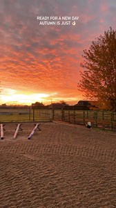 1.7K views · 159 reactions | 﫶 | Sophie Wells OBE Dressage | Facebook