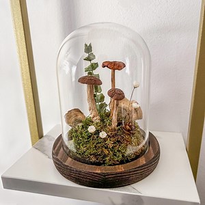 Dried Mushroom Terrarium Dome | Glass Cloche on Wood Base | Rustic Botanical Home Décor - Etsy