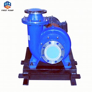 [Hot Item] Diesel Engine Horizontal Mixed Flow Water Pump Water Supply Irrigation