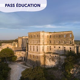 Abbaye de Montmajour