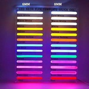 [Hot Item] Decoration Flexible 12V Signs 6*12mm 1cm 2.5cm Cutting Addressable LED Neon Rope RGB Pixel Light Silicone