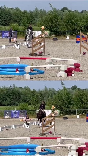 ☄️⚡️SPEED trial⚡️☄️At the Open National Working Equitation Holland Championship! Comparing my two partners in crimes in their speed trial: 🥇Hero des Nawies with 93.97🥉Falcão (SS) with 104.47. Love to see the fluidity of Hero des Nawies and our work with Falcão who is starting to get it 🤩! General Master level classification:🏆🥇HERO🥇🏆5th place 🏅FALCÃO🏅Thank you to @marie_komorowski for the precious help! Thank you to @essenceoflifebelgium and @equidk to allow my horses to be so well takin