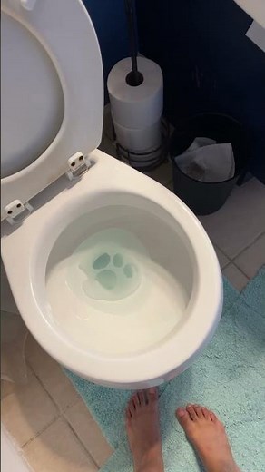 Blue’s Clues paw print