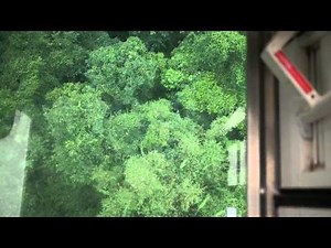 台北の「透明な猫空ロープウェイ」に乗ってみよう
