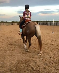 Super fun drill I use to teach horses quick feet and quick lead changes... and teach the kid quick hands, balance, body position and staying in sync with their horses! #wildeyeranchtraining @marisakennison thank you for modeling it 🙌🏻🦄 | Wild Eye Ranch
