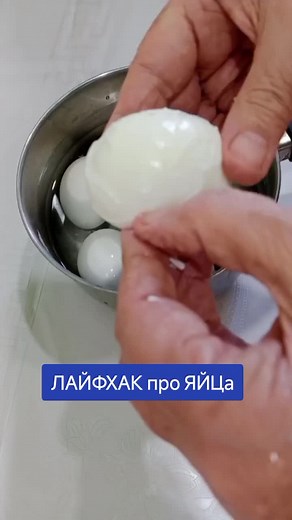 prosto_obo_vsem on TikTok