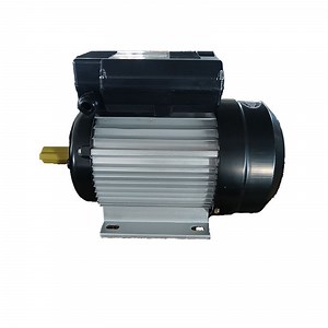 [Hot Item] Best Price 220V AC Motor Single Phase AC Motor Double Capacitor AC Asynchronous Motor CE