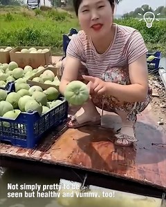 197K views · 464 reactions | Farmers harvesting their plants proudly  | Pretty Hairstyles | Facebook
