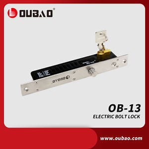 [Hot Item] DC12V -24V Mini High Quality Electric Bolt Lock Electric Controlled Lock with Mechanical Key