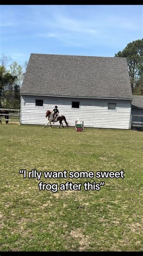 Alycia Burton: Idol of the Equestrian World