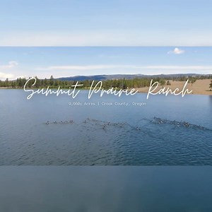 An excellent hunting and cattle ranch for sale that spans approximately 9,660± acres. 𝐒𝐮𝐦𝐦𝐢𝐭 𝐏𝐫𝐚𝐢𝐫𝐢𝐞 𝐑𝐚𝐧𝐜𝐡 is located in 𝐂𝐫𝐨𝐨𝐤 𝐂𝐨𝐮𝐧𝐭𝐲, Oregon with 2 large lakes, 6,220± irrigated acres, and mature trees that provide excellent cover, forage and grazing for wildlife and livestock. ↬ https://bit.ly/summitprairie | Texas Ranch Sales, L.L.C.