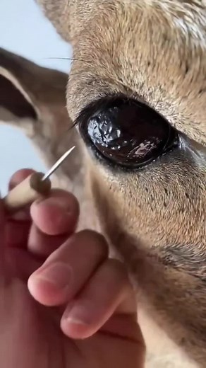 perdi la vista #reddit #redditstories #redditespañol