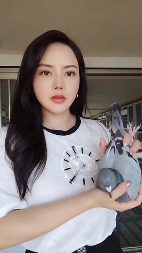 8.4K views · 100 reactions | Racing Pigeon Wings, Body and Eye Presentation #devriendttasaday #racingpigeons #pigeonsport | PigeonVibes | Facebook