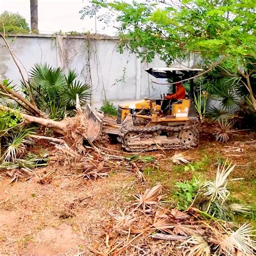 85K views · 510 reactions | Unbelievable Bulldozer Operator Skill to Clear The Trees For Filling Up Land Huge, Dozer Delete Tree | BulldozeR PoweR | Facebook