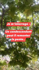 Une histoire bête de con descendant #humour #jeux de mots | Un Tee Shirt à la con