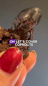 678K views · 20K reactions | Coprolite  We are an educational geology and mineral science page and create a huge amount of educational content for free. If you are looking to support the page, consider subscribing, which gives you access to the subscriber page, where questions about mineral related topics, mineral identification and curiosities about fakes can be asked with a far better chance of response. #coprolite #fossils #geology | Saltshack | Facebook