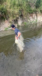 One throw lots of fish were caught 😱 #CastNetFishing #fishingislife | Jacovtv