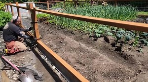 2.4K views · 27 reactions | Phần 25 của ong xa lam hang rao moi cho vuon cay | Nhung Ha Cuoc Song My | Facebook