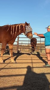 Backing away from pressure | Scout's Trail