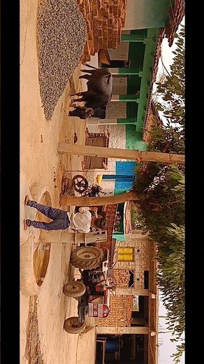 The village movie trailer.village cinematic video. सवारियां न्यू सोंग।सवारियां के भजन #viralvideo