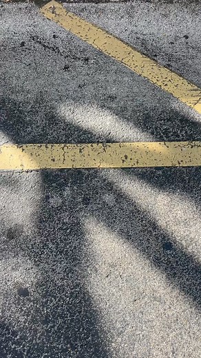 Today #hot105 and Biglip Alex Chisholm were at Florida Technical College celebrating their Back to School event✏️ that was filled with games, music, school supplies, and prizes a special thanks to everyone who came out today! #ftcbacktoschool #miami #culterbay #backtoschool #school #firstdayofschool #ftc #community #schoolsupplies | HOT 105 | Facebook