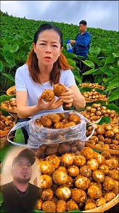 181K views · 553 reactions | SABES COMO SE LLAMA ESTA VERDURA ? | Vida del campo real | Facebook