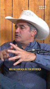 DIFERENÇA ENTRE DORPER E WHITE DORPER #dorper #whitedorper #ovelha #ovino