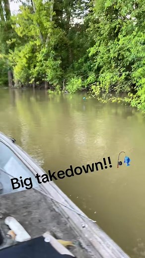 Summer was good to us! 🎣 ☀️. #outdoors #river #fish #perch #shad #catfish #trotlines #limblines Haley Goudelock | Jessie George