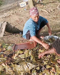 Masak tradisional papua bakar batu | Telenggen Lanny