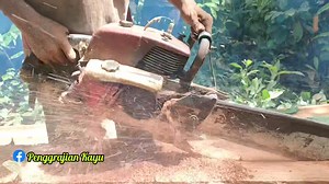 20K views · 180 reactions | The best skill slincing Wood by a man #chainsaw #pohonkelapa #foryoupage #wood #woodworking #woodworkingproject #fypシ #foryou #youpage | Penggrajian kayu | Facebook