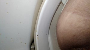 Thursday's second poo