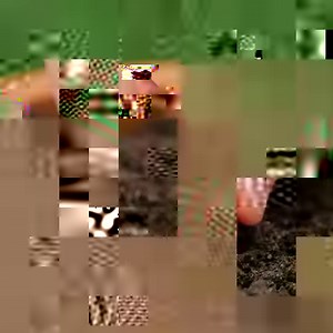 Vermeide Schädlinge in deinem Garten und schütze deine Pflanzen vor Krankheiten: 👨‍🌾 | 5-Minuten Tricks