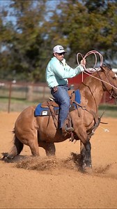 Rooster doing Rooster things. Contracts via Lazy E Ranch: https://bit.ly/Contract-WSR-Hesa-Dunofa-Lena-2025 | WSR Hesa Dunofa Lena