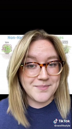 Creating a Beautiful Native Plant Garden for a Sustainable Landscape