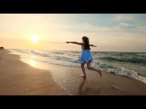 240 Second Timer có thể được đi học về sự cố