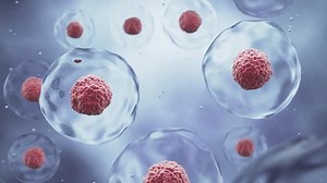 Human Cell Embryonic Stem Cell Microscope Stock Footage Video (100% Royalty-free) 3515746171 | Shutterstock