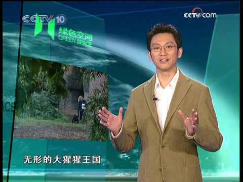 大猩猩王国 （上）