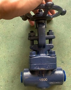 [Hot Item] API 602 OS&Y Forged A105 F304 F316 F11 Threaded Sw Bw Gate Valve