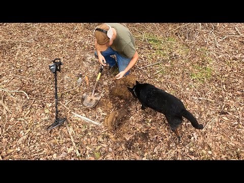 METAL DETECTING NEWLY UNCOVERED FIELD ON 140 YEAR OLD FARM