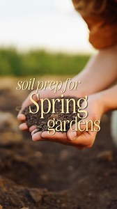🌿 The secret to thriving spring flower beds? Improving your soil now! ✨ Winter is the perfect time to incorporate compost, green sand, lava sand, and expanded shale into your beds. These amendments will break down during the cold months, enhancing drainage, soil texture, and root growth for a beautiful garden in spring. 🌸 Start preparing your soil today and give your plants the best foundation for new growth! 🌱 #SoilHealth #SpringGardening #NorthTexasGardening #GardenTips | North Haven Garden