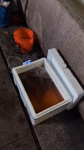 Small chinese Technique 😎 | BDSHOP.COM