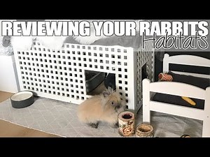 Reviewing YOUR Rabbit's Habitats!