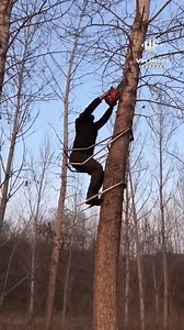 9.9K views · 13 reactions | tree climbing aids | Force Of Nature | Facebook