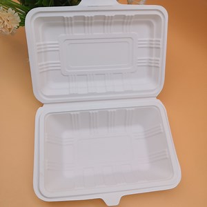 [Hot Item] Food Grade Biodegradable Disposable Food Containers Box Corn Starch Fridge Storage Containers