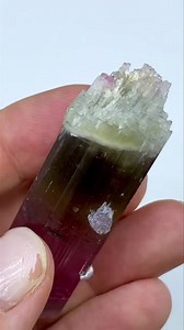 Tourmaline from the famous US locality - Himalaya Mine, (California), size: 5.5 cm, price: $1650 ( shipping fee). We ship worldwide. Please DM to claim or get more details. To see more of our minerals visit www.SpiriferMinerals.com 8018 #spiriferminerals #spirifer #mineralcollecting #mineralspecimen #mineralcollection #rockhounding #rockhound #minerals #mineral #rocks #rock #fineminerals #mineralogy #geology #mineralsforsale #tourmaline #tourmalines #tourmalinecrystal #tourmalineforsale #jewelle