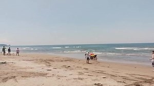 Lucky Haven Beach Resort on Reels | Facebook