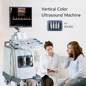 [Hot Item] 2026 Best Quality Vertical Color Ultrasound Machine Doppler Vertical Ultrasound Machine Medical Instrument for Hospital Use