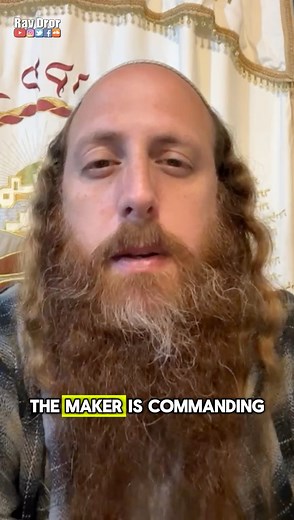 Parsha Insights: Tetzaveh🙌🏼 #shabbatshalom | Rav Dror