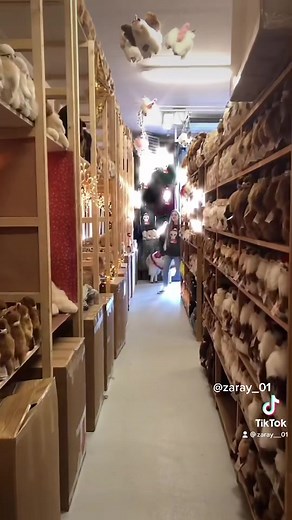 Inkari.alpaca on TikTok